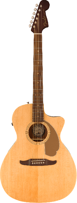 Fender NEWPORTER PLAYER NAT WN 